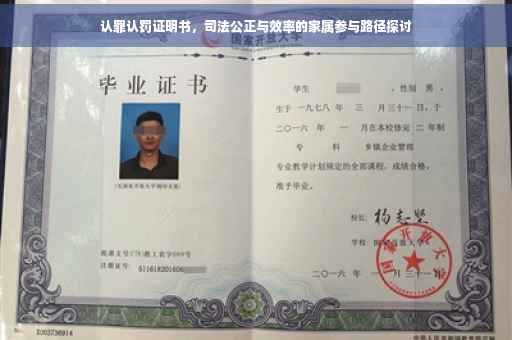 认罪认罚证明书，司法公正与效率的家属参与路径探讨
