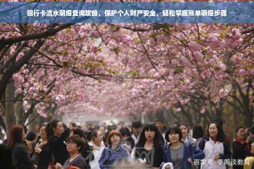 银行卡流水明细查询攻略，保护个人财产安全，轻松掌握账单明细步骤