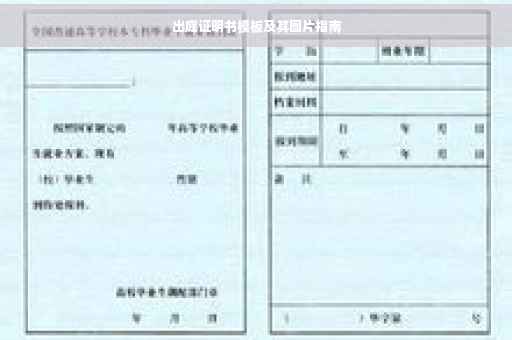 出庭证明书模板及其图片指南