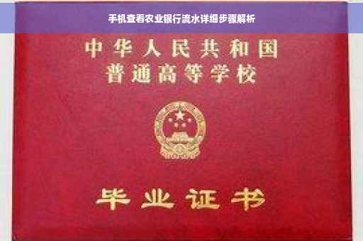 手机查看农业银行流水详细步骤解析