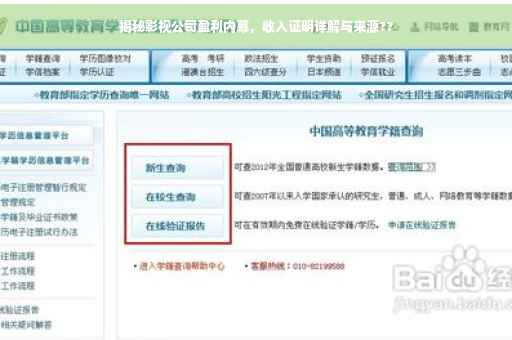 揭秘影视公司盈利内幕，收入证明详解与来源??