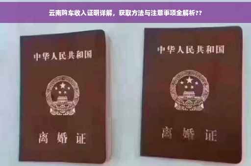 云南购车收入证明详解,获取方法与注意事项全解析?? 云南购车收入证明详解,获取方法与注意事项全解析??