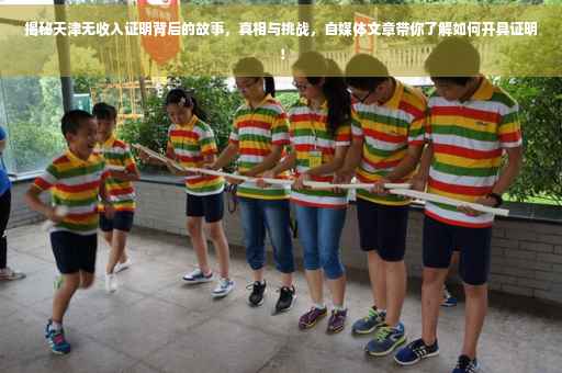 揭秘天津无收入证明背后的故事，真相与挑战，自媒体文章带你了解如何开具证明！
