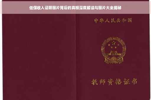 低保收入证明图片背后的真相深度解读与图片大全揭秘