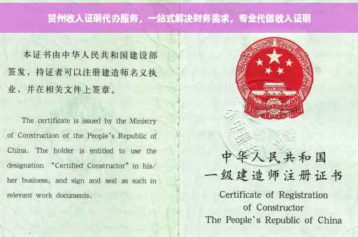 贺州收入证明代办服务，一站式解决财务需求，专业代做收入证明