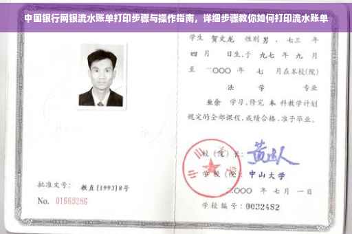 中国银行网银流水账单打印步骤与操作指南，详细步骤教你如何打印流水账单