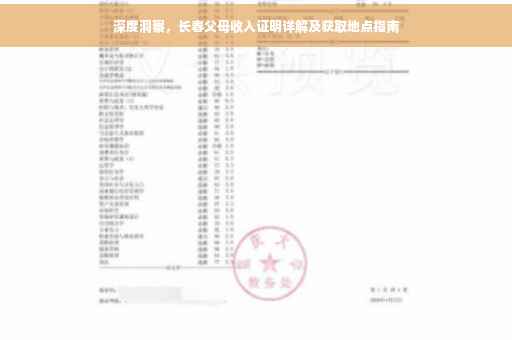 深度洞察，长春父母收入证明详解及获取地点指南