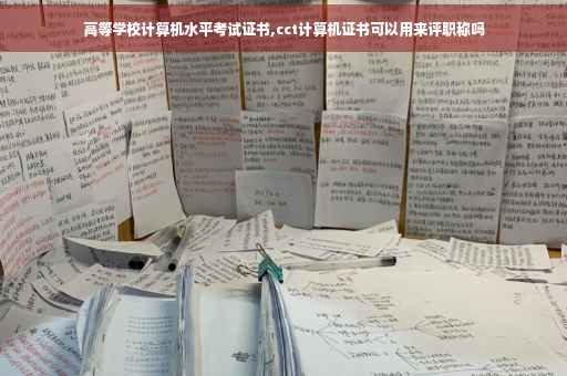 高等学校计算机水平考试证书,cct计算机证书可以用来评职称吗