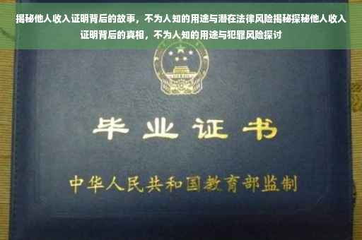 揭秘他人收入证明背后的故事，不为人知的用途与潜在法律风险揭秘探秘他人收入证明背后的真相，不为人知的用途与犯罪风险探讨
