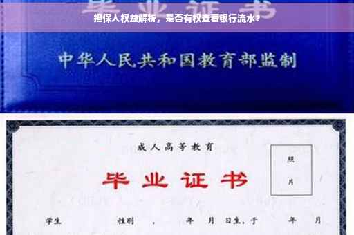 担保人权益解析，是否有权查看银行流水？