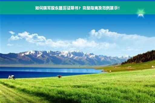 如何撰写股东履历证明书？完整指南及范例展示！