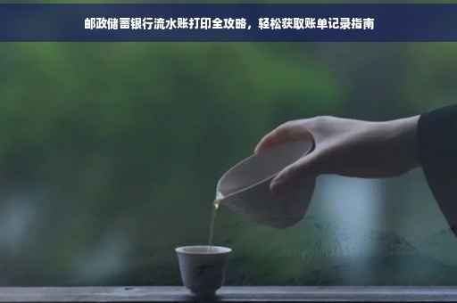 邮政储蓄银行流水账打印全攻略，轻松获取账单记录指南