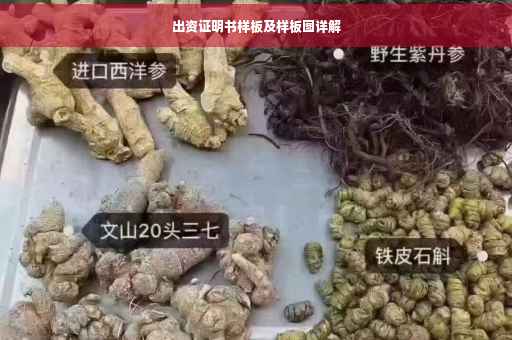 出资证明书样板及样板图详解