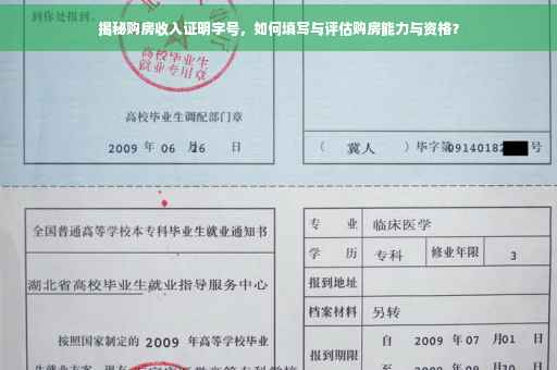 揭秘购房收入证明字号，如何填写与评估购房能力与资格？