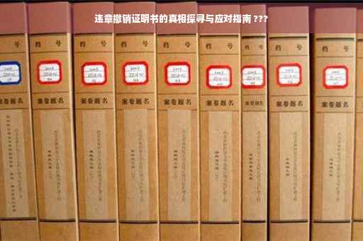 违章撤销证明书的真相探寻与应对指南 ???