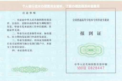 个人银行流水办理费用全解析，了解办理流程及所需费用