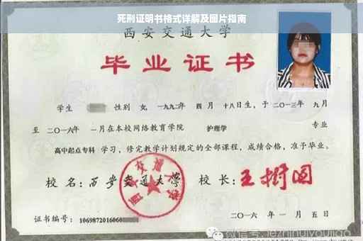 死刑证明书格式详解及图片指南