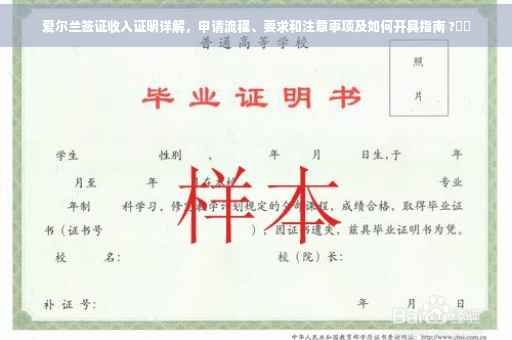 爱尔兰签证收入证明详解，申请流程、要求和注意事项及如何开具指南 ?⚡️