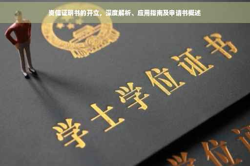 资信证明书的开立，深度解析、应用指南及申请书概述
