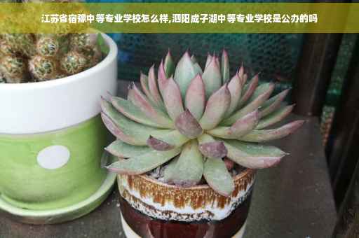 江苏省宿豫中等专业学校怎么样,泗阳成子湖中等专业学校是公办的吗