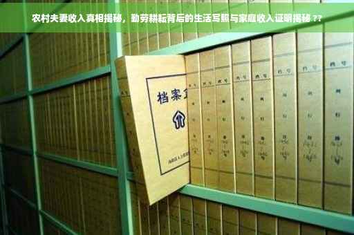 农村夫妻收入真相揭秘，勤劳耕耘背后的生活写照与家庭收入证明揭秘 ??