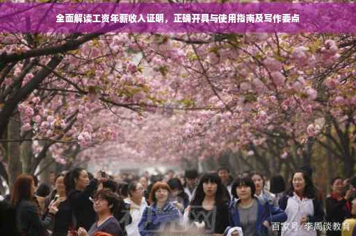 全面解读工资年薪收入证明，正确开具与使用指南及写作要点