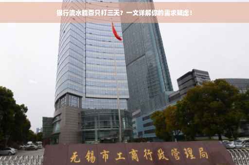 银行流水能否只打三天？一文详解你的需求疑虑！