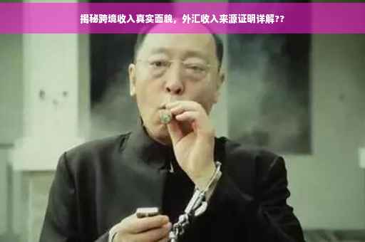 揭秘跨境收入真实面貌，外汇收入来源证明详解??