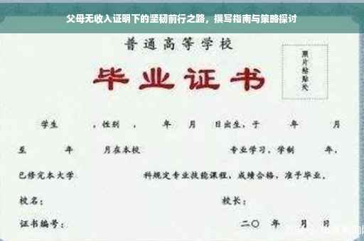 父母无收入证明下的坚韧前行之路，撰写指南与策略探讨