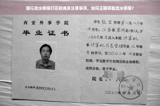 银行流水明细打印指南及注意事项，如何正确获取流水明细？