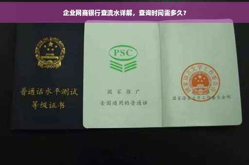 企业网商银行查流水详解，查询时间需多久？