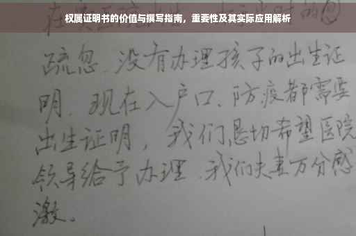 权属证明书的价值与撰写指南，重要性及其实际应用解析