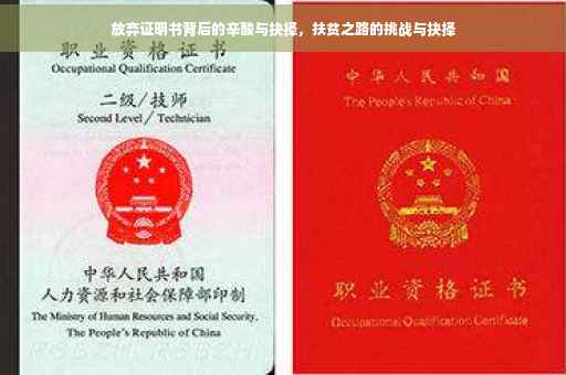 放弃证明书背后的辛酸与抉择，扶贫之路的挑战与抉择
