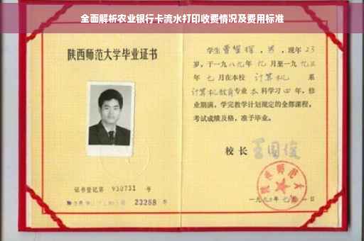 全面解析农业银行卡流水打印收费情况及费用标准
