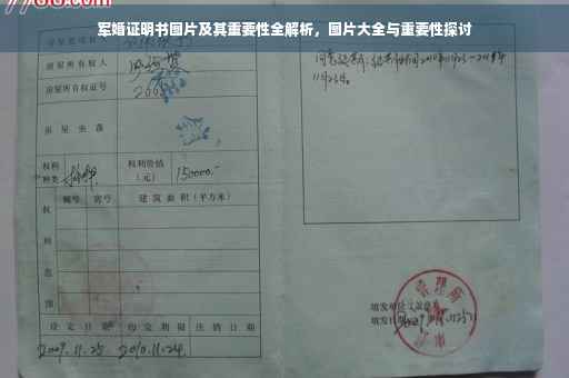 军婚证明书图片及其重要性全解析，图片大全与重要性探讨
