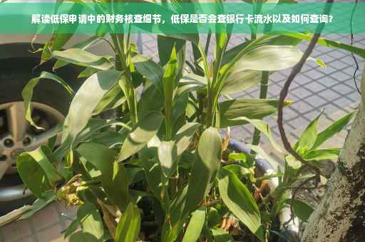 解读低保申请中的财务核查细节，低保是否会查银行卡流水以及如何查询？