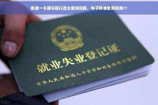 香港一卡通与银行流水查询详解，电子账单使用指南??