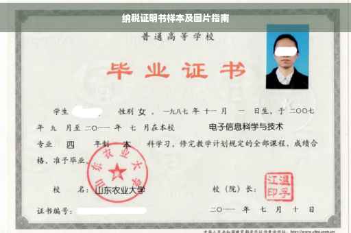 纳税证明书样本及图片指南