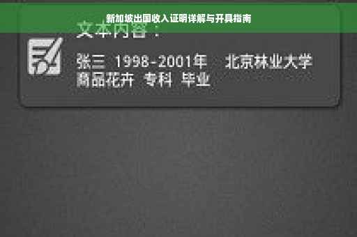 新加坡出国收入证明详解与开具指南