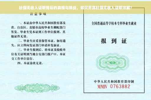 社保无收入证明背后的真相与挑战，如何开具社保无收入证明详解?