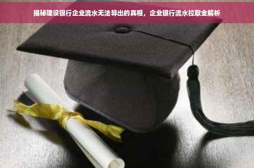 揭秘建设银行企业流水无法导出的真相，企业银行流水拉取全解析