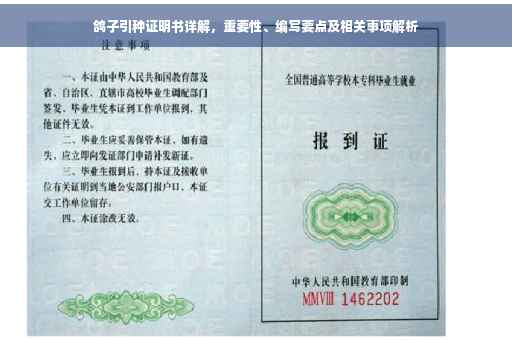 鸽子引种证明书详解，重要性、编写要点及相关事项解析