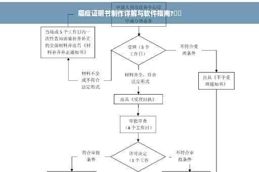 癌症证明书制作详解与软件指南?⚡️