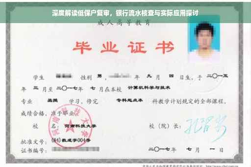 深度解读低保户复审，银行流水核查与实际应用探讨