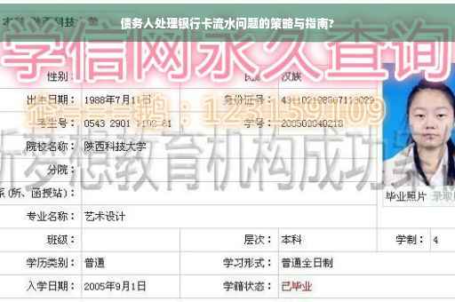 债务人处理银行卡流水问题的策略与指南?