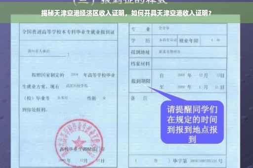 揭秘天津空港经济区收入证明，如何开具天津空港收入证明？