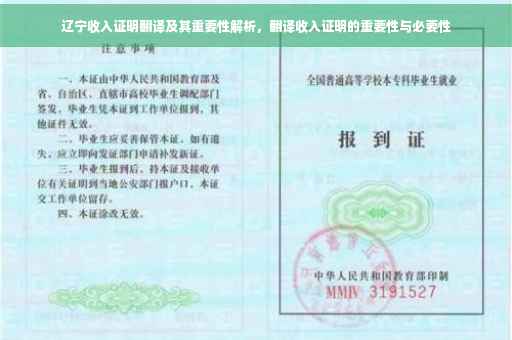 辽宁收入证明翻译及其重要性解析，翻译收入证明的重要性与必要性