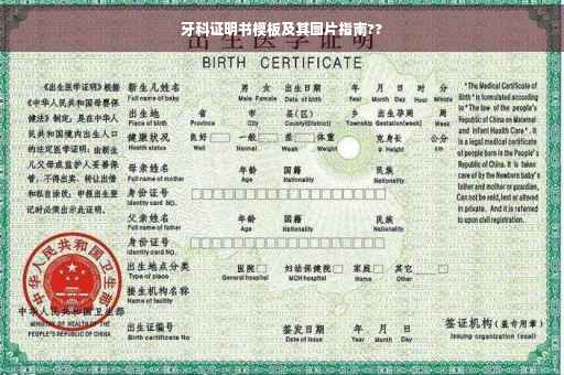 牙科证明书模板及其图片指南?? 牙科证明书模板及其图片指南??