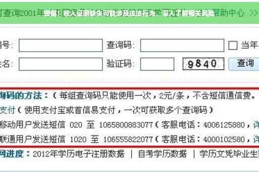 警惕！收入证明缺失可能涉及违法行为，深入了解相关风险