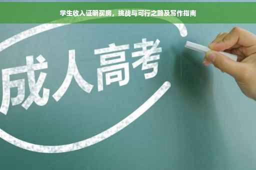 学生收入证明买房，挑战与可行之路及写作指南